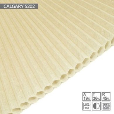 calgary-5202