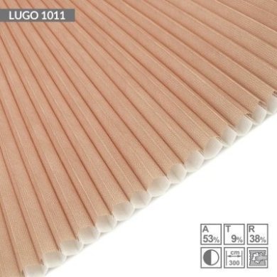 lugo-1011