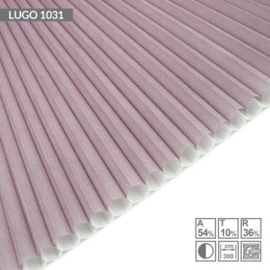 lugo-1031