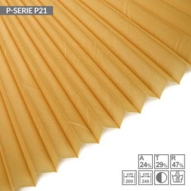 P-SERIE-P21