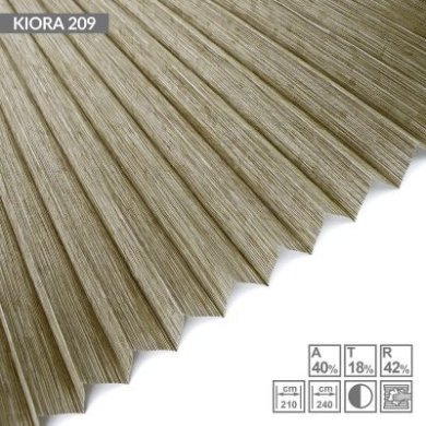 KIORA-209