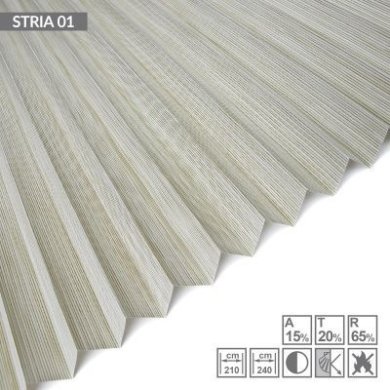 STRIA-01