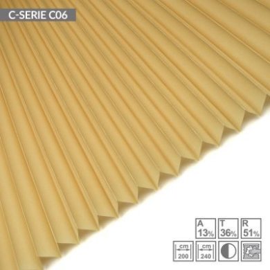 C-SERIE-C06