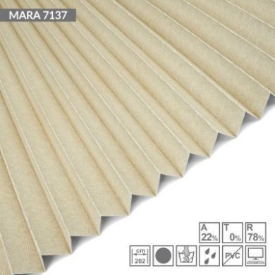 MARA-7137.jpg.jpg
