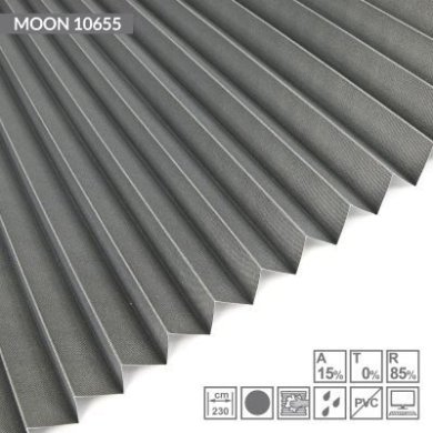 MOON-10655