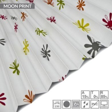 MOON-PRINT