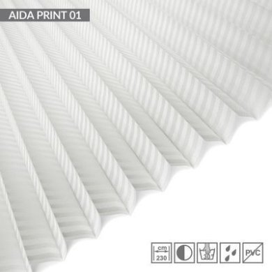 AIDA-PRINT-01
