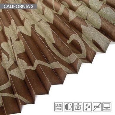 CALIFORNIA-2