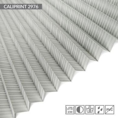 CALIPRINT-2976