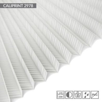 CALIPRINT-2978