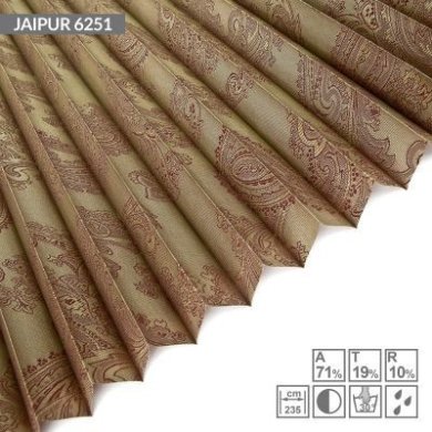 JAIPUR-6251
