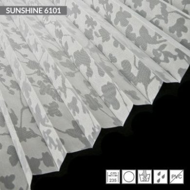 SUNSHINE-6101