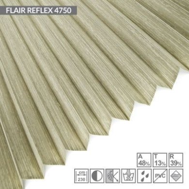 FLAIR-REFLEX-4750