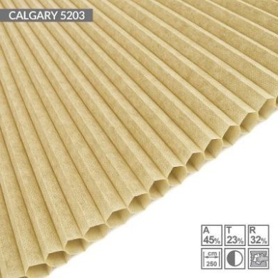 CALGARY-5203
