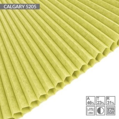 CALGARY-5205