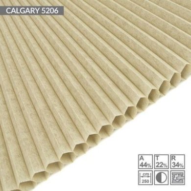 CALGARY-5206