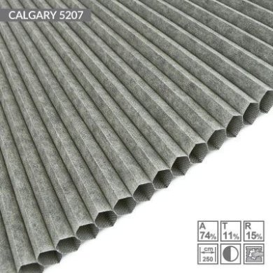 CALGARY-5207