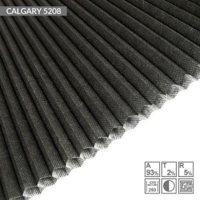 CALGARY-5208