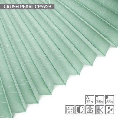 crush-pearl-cp5929