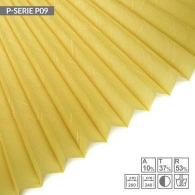 p-serie-p09