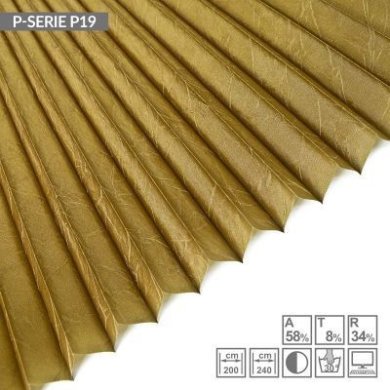 p-serie-p19
