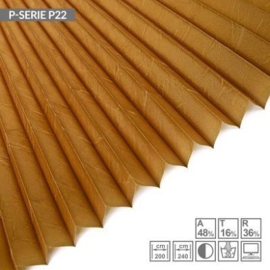 p-serie-p22
