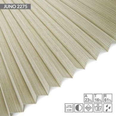 juno-2275