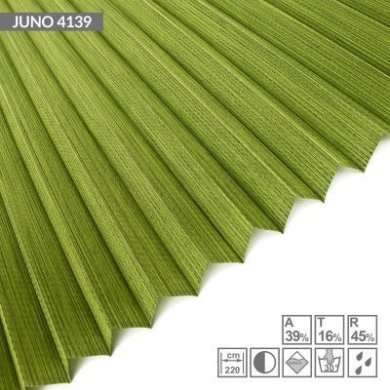 juno-4139
