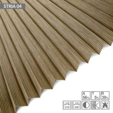 stria-04