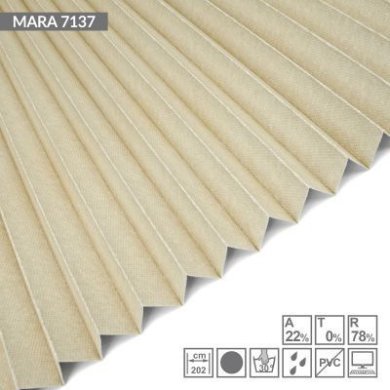 mara-7137.jpg.jpg