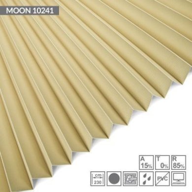 moon-10241