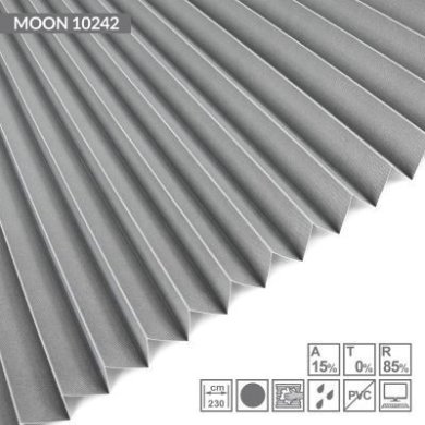 moon-10242