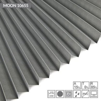 moon-10655